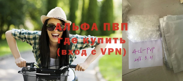 spice Богородицк
