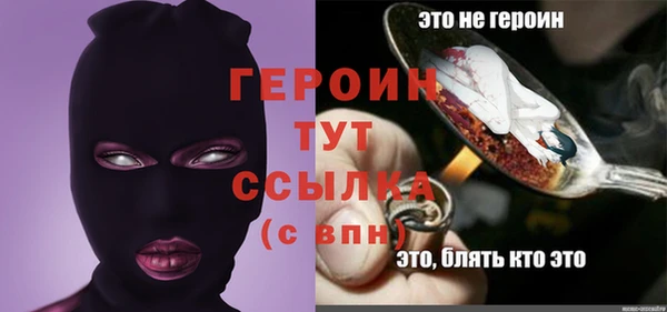 spice Богородицк