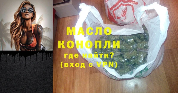 мдпв Богородск