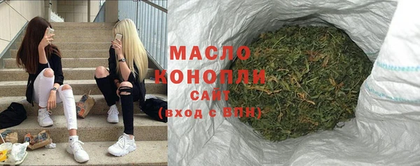 spice Богородицк