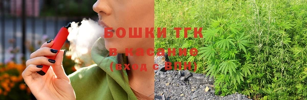 spice Богородицк