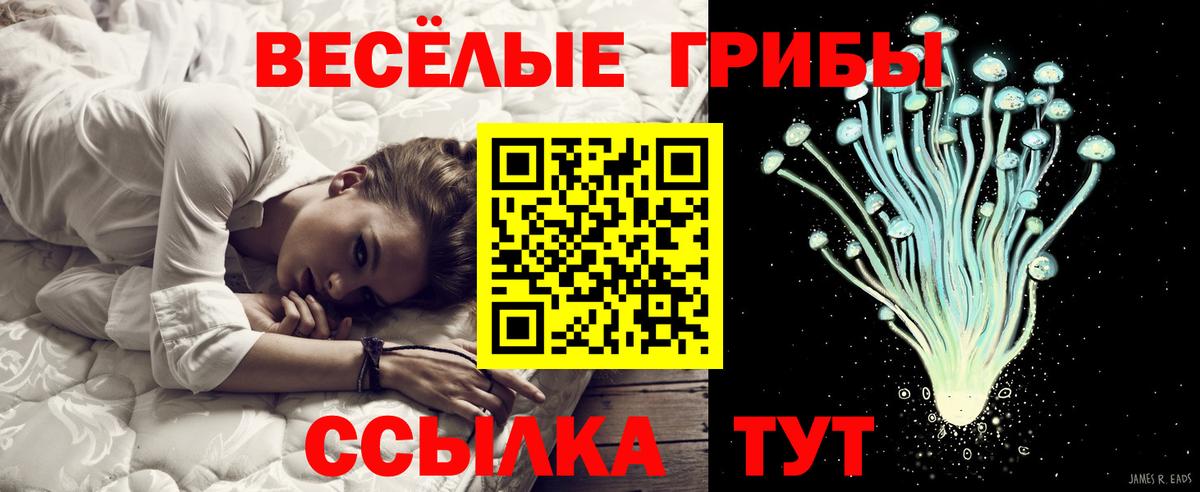 Галлюциногенные грибы мухоморы Корсаков