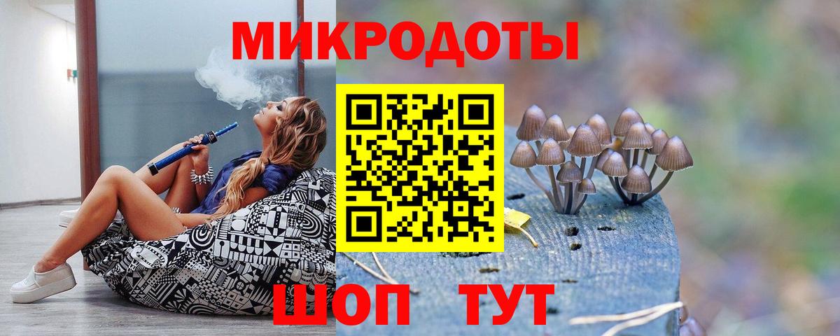 Корсаков  Галлюциногенные грибы Psilocybe  Вход с VPN 